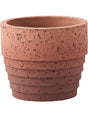 Cinnamon - Pot Terracotta