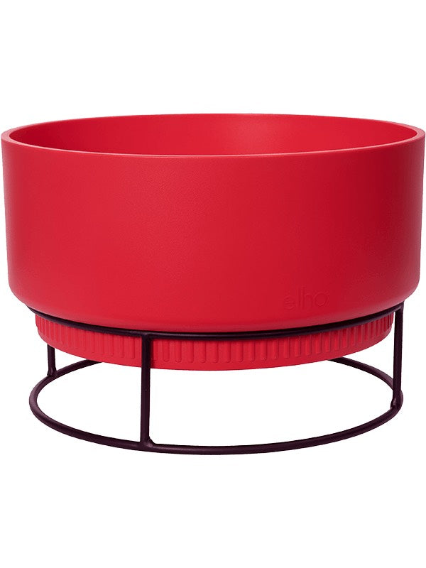 B. For Studio - Bowl Brilliant Red