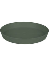 Loft Urban - Saucer Thyme Green