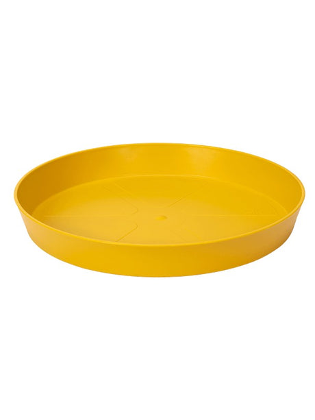 Loft Urban - Saucer Ochre