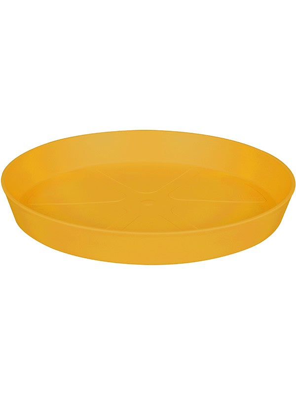 Loft Urban - Saucer Ochre