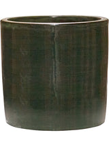 Plain Striped - Cylinder Olive