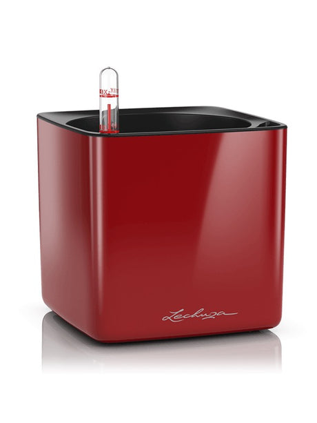 Lechuza Cube Glossy 14 - All Inclusive Set Scarlet Red High-Gloss