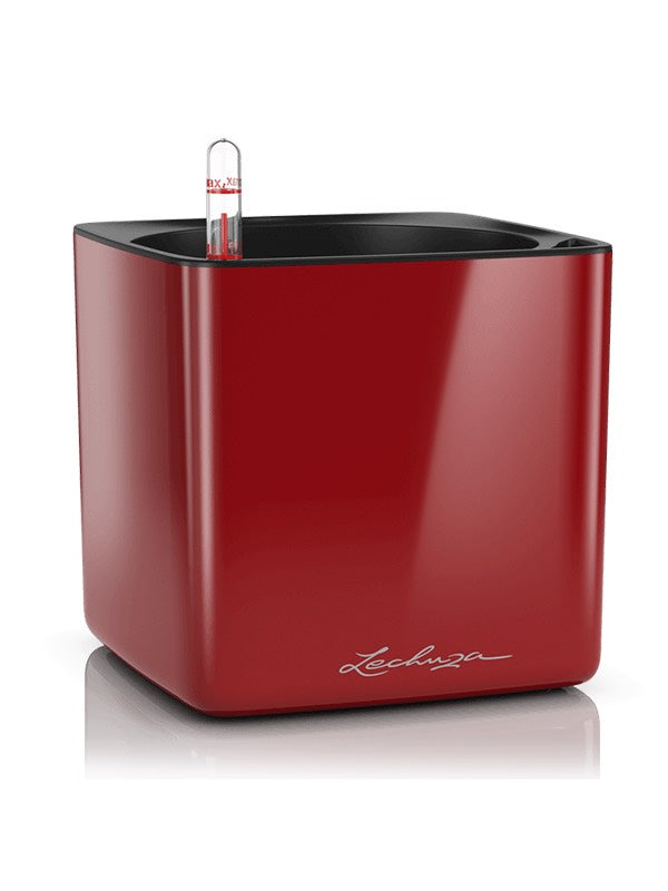 Lechuza Cube Glossy 16 - All Inclusive Set Scarlet Red High-Gloss