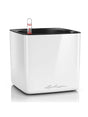 Lechuza Cube Glossy 16 - All Inclusive Set White High Gloss