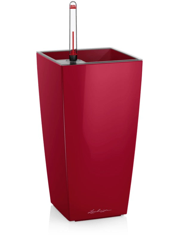 Lechuza Maxi-Cubi - All Inclusive Set Scarlet Red High-Gloss