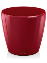 Lechuza Classico - Scarlet Red High-Gloss