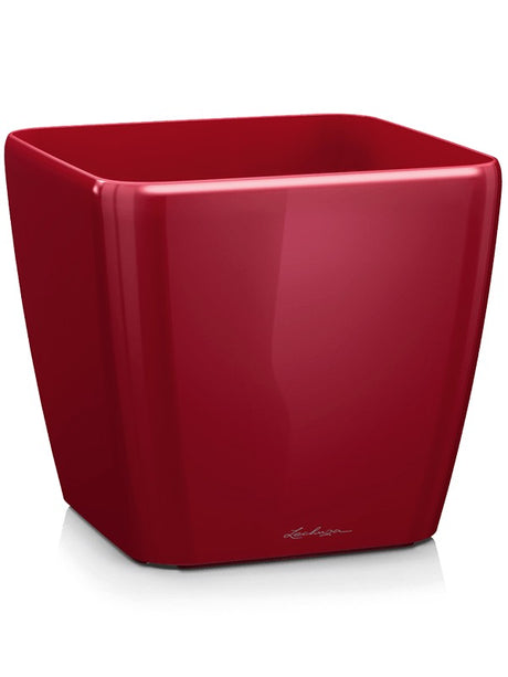 Lechuza Quadro - Scarlet Red High-Gloss