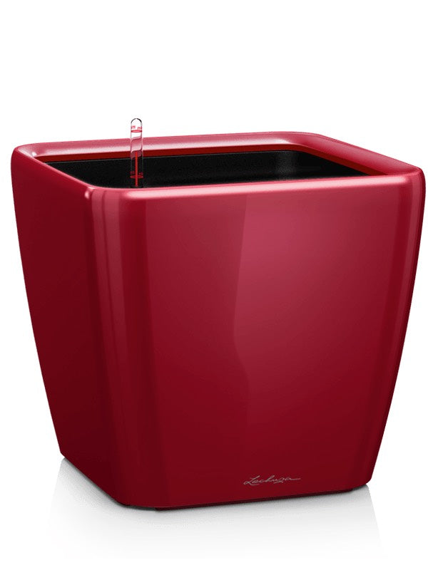 Lechuza Premium Quadro Ls 21 - All Inclusive Set Scarlet Red High-Gloss