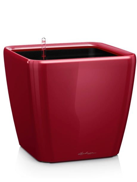 Lechuza Premium Quadro Ls 35 - All Inclusive Set Scarlet Red High-Gloss