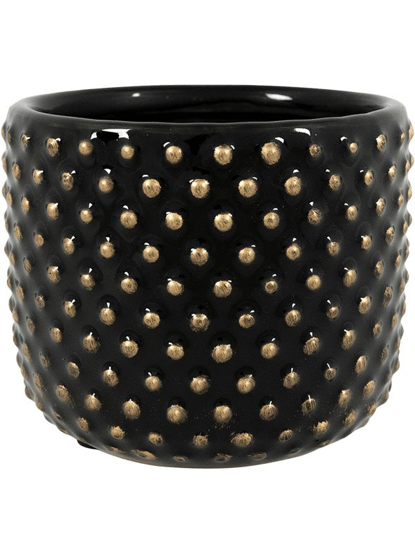 Bolino - Pot Shiny Black