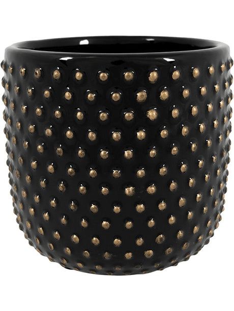 Bolino - Pot Shiny Black