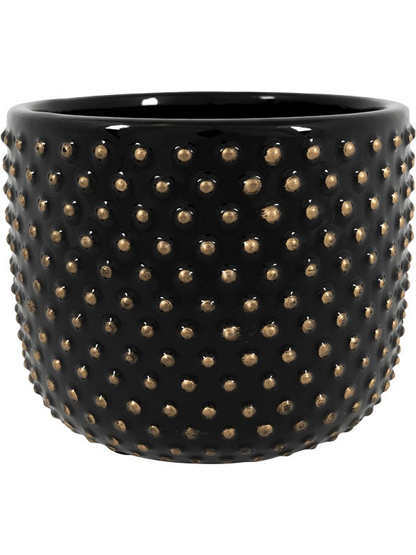 Bolino - Pot Shiny Black