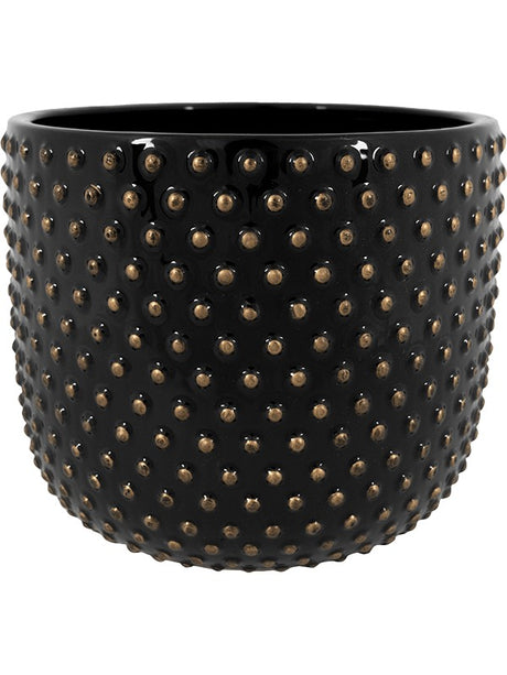 Bolino - Pot Shiny Black