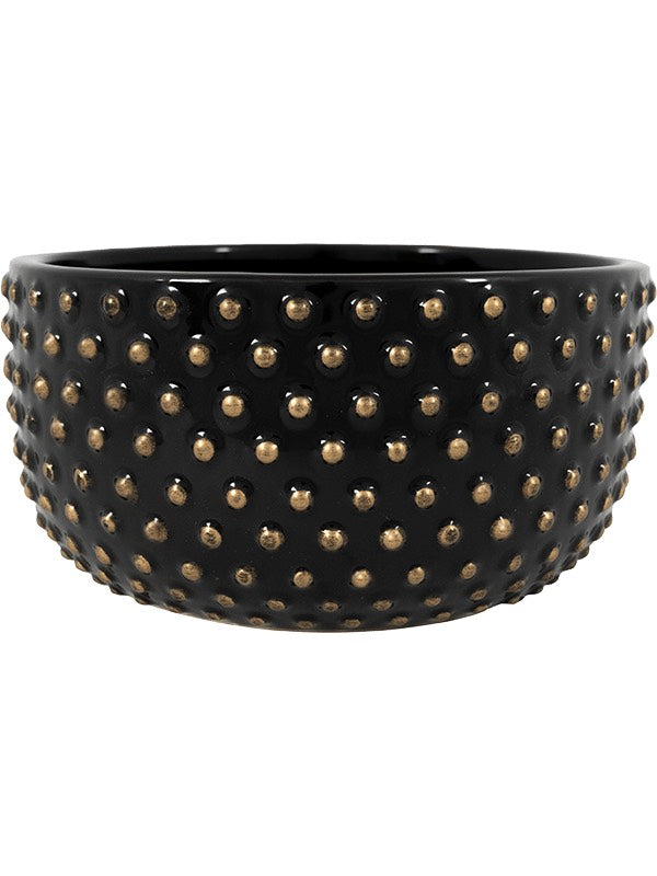 Bolino - Bowl Shiny Black