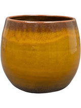 Charlotte - Pot Ochre