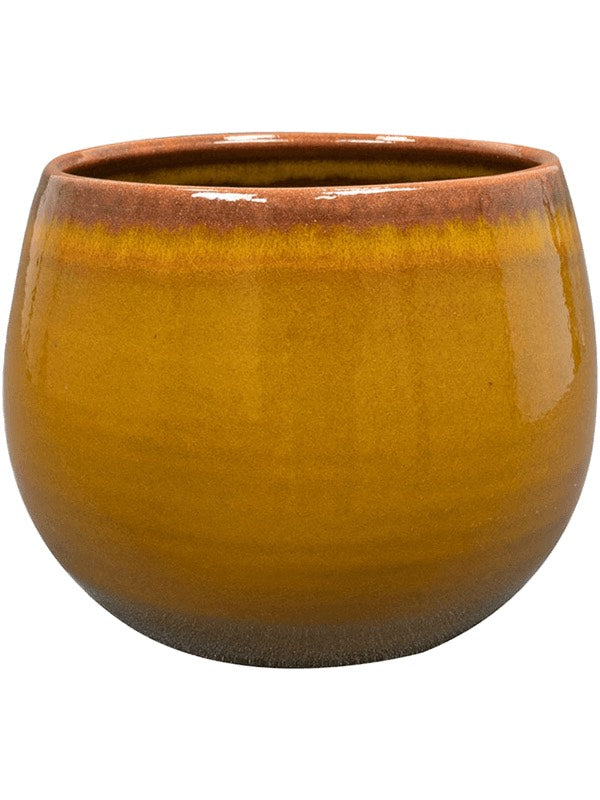 Charlotte - Pot Ochre