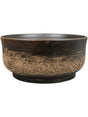 Aico - Bowl Shiny Brown