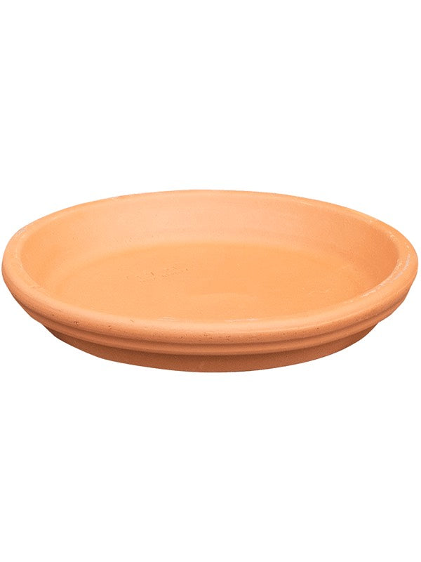 Terra Cotta - Saucer