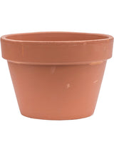 Terra Cotta - Flowerpot