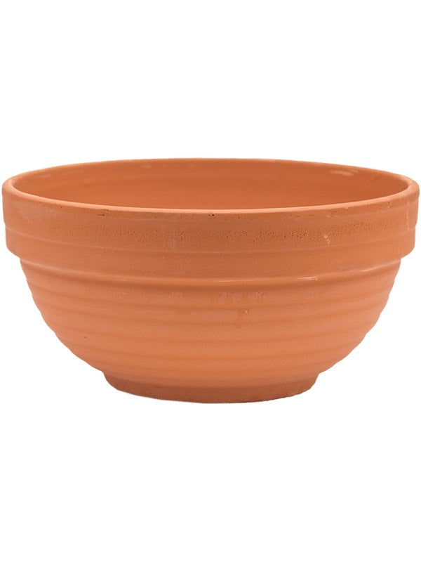 Terra Cotta - Bowl