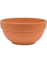 Terra Cotta - Bowl