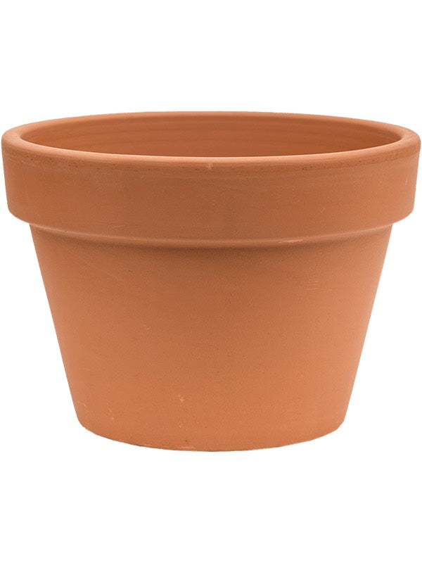 Terra Cotta - Flowerpot