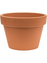 Terra Cotta - Flowerpot