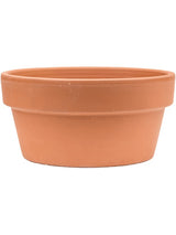 Terra Cotta - Bowl