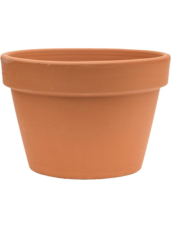 Terra Cotta - Flowerpot