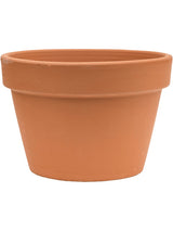 Terra Cotta - Flowerpot