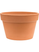 Terra Cotta - Flowerpot