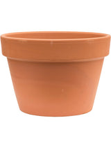 Terra Cotta - Flowerpot