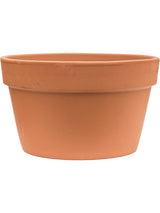 Terra Cotta - Flowerpot