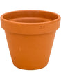 Terra Cotta - Flowerpot