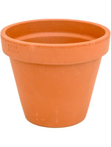 Terra Cotta - Flowerpot