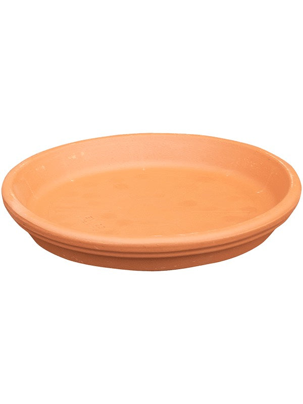 Terra Cotta - Saucer