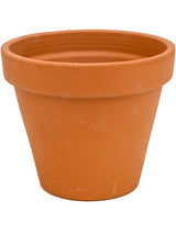 Terra Cotta - Flowerpot