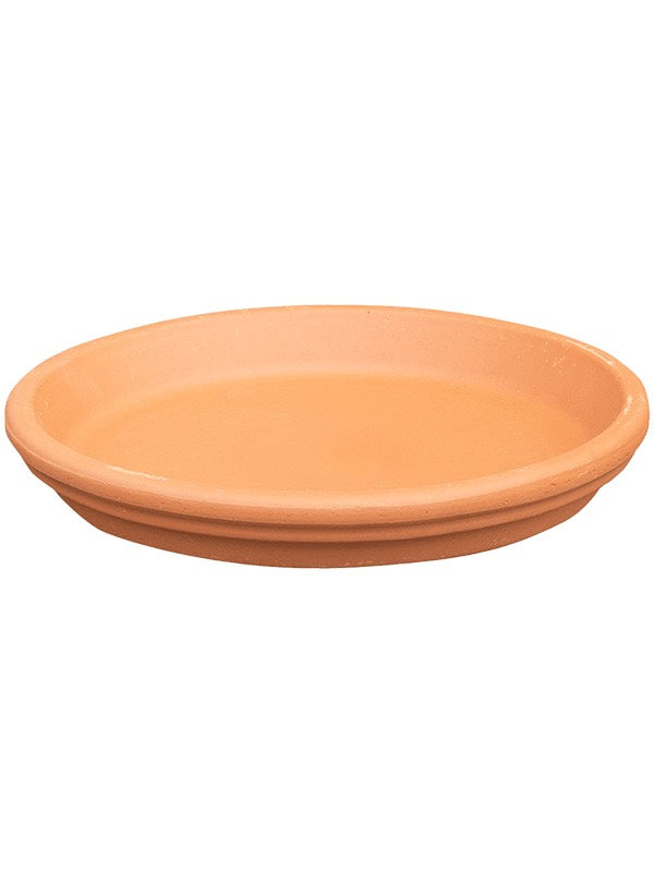 Terra Cotta - Saucer