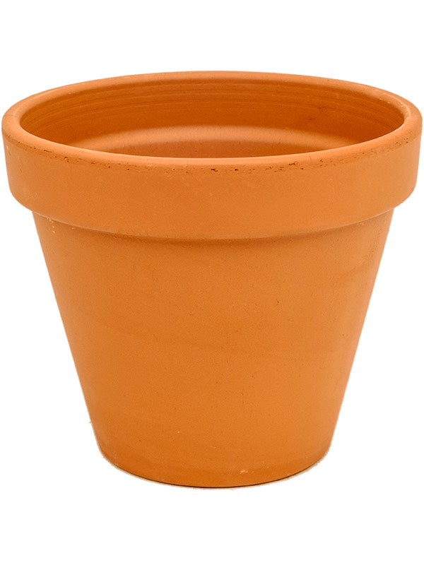 Terra Cotta - Flowerpot