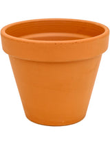 Terra Cotta - Flowerpot