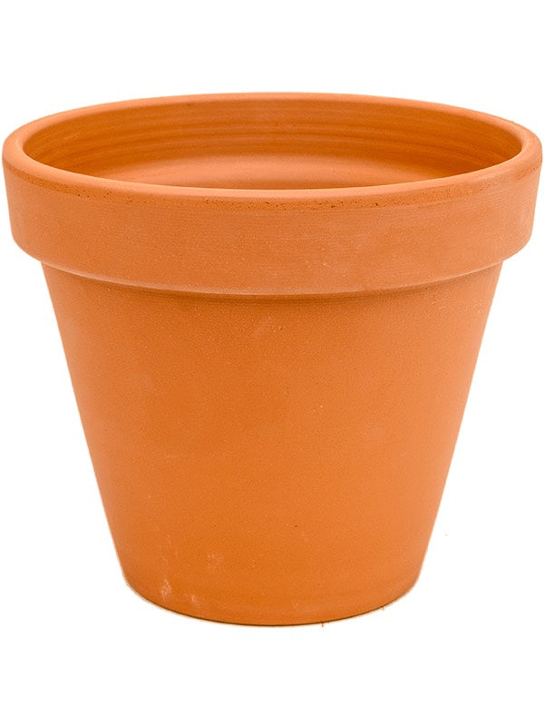 Terra Cotta - Flowerpot