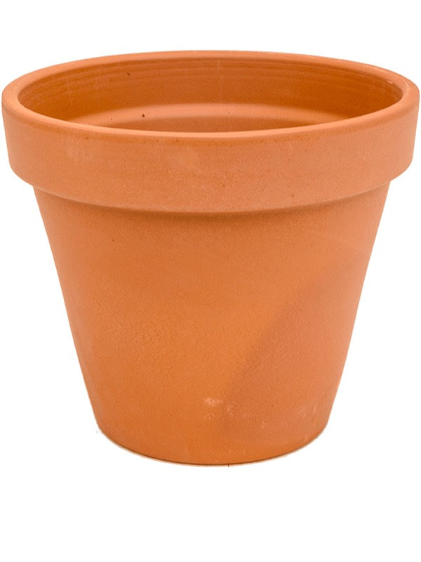 Terra Cotta - Flowerpot