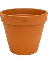 Terra Cotta - Flowerpot