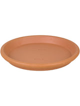 Terra Cotta - Saucer