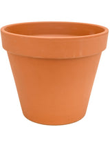 Terra Cotta - Flowerpot