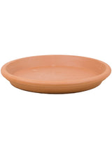 Terra Cotta - Saucer