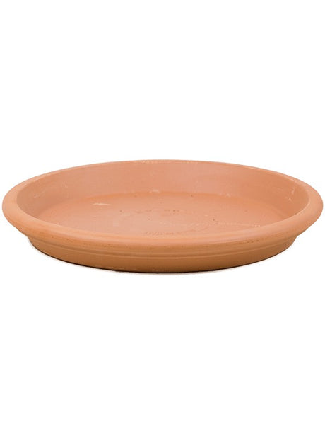 Terra Cotta - Saucer