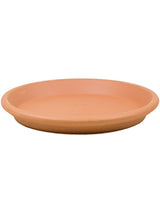 Terra Cotta - Saucer