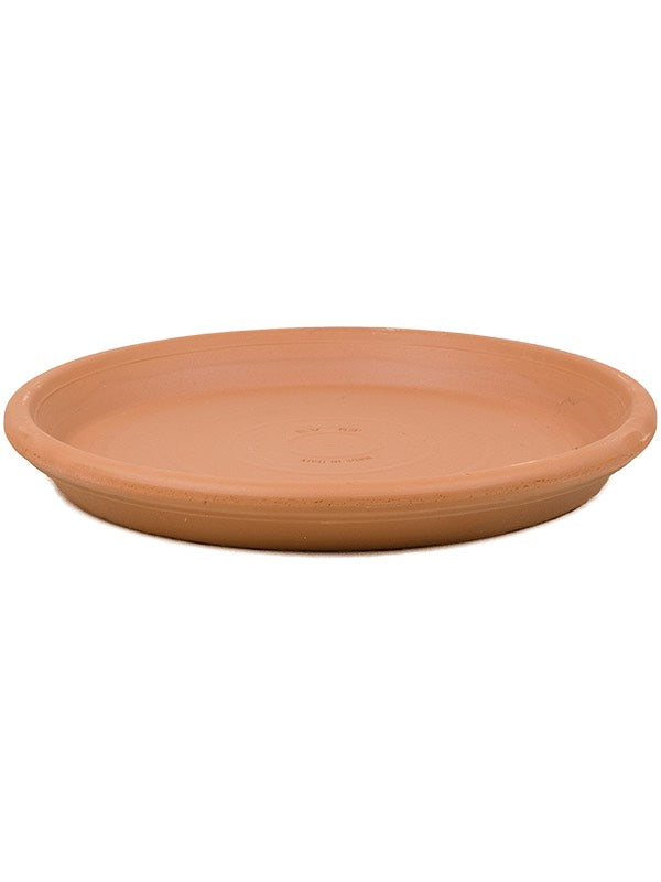 Terra Cotta - Saucer